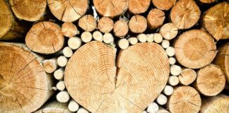 Czym wkręcać wkręty do drewna?