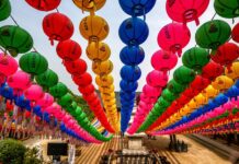 Dlaczego chory na raka ciągle śpi? Dlaczego chory na raka ciągle śpi?