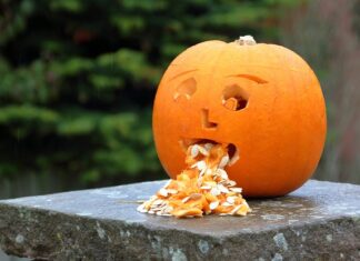 Co to jest wymiocin? Co to jest wymiocin?