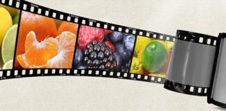 Czym smarować uszczelki w lodówce?