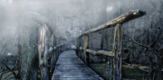 Jaki mostek do kierownicy?