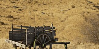 Czym smarować uszczelniacze?