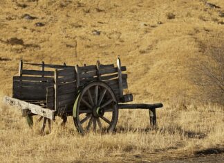 Czym smarować uszczelniacze?