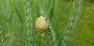 Jak uszczelnić wyciek w co?