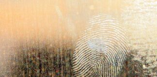 Jaki smar do uszczelek?