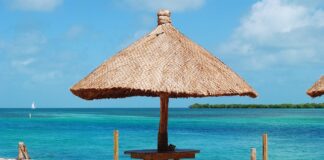 Ile schnie uszczelniacz do miski olejowej?