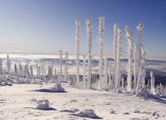 Jak samemu wyczyścić fotele w samochodzie? Jak samemu wyczyścić fotele w samochodzie?