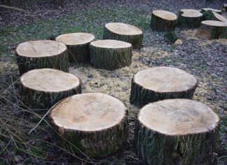 Jak naprawić przetarte siedzenie w samochodzie?