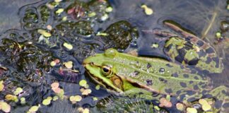 Czym kleić uszczelki silikonowe?