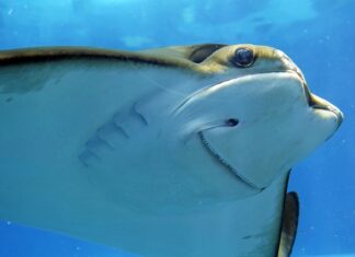 Co zrobić żeby ładnie pachniało w samochodzie? Co zrobić żeby ładnie pachniało w samochodzie?