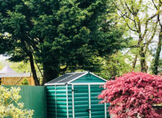 Pomysły na praktyczną aranżację ogrodu