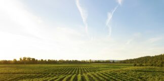 Jakie maszyny możesz nabyć w dobrym sklepie rolniczym