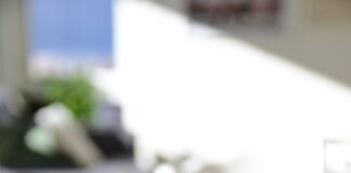 Jakie produkty z hurtowni mięsnej są szczególnie smaczne