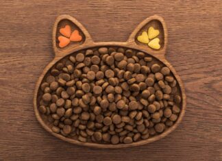 Karmy suche dla kotów